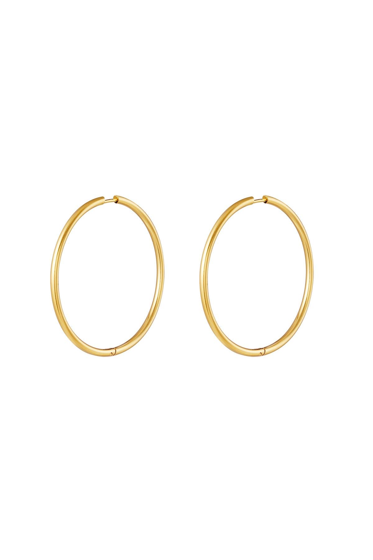 RVS oorbellen hoops medium Goud kleur Stainless Steel